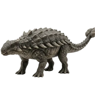 Ankylosaurus, a flash card photograph for children