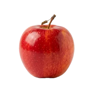 Apple, a flash card photograph for children