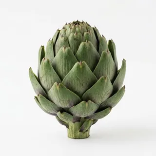 Artichoke, a flash card photograph for children