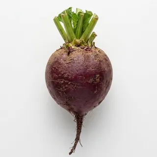 Beet, a flash card photograph for children