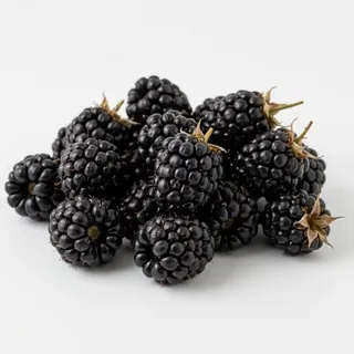 Blackberry, a flash card photograph for children