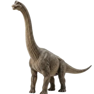 Brachiosaurus, a flash card photograph for children