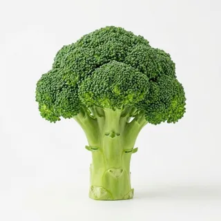 Broccoli, a flash card photograph for children