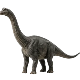 Brontosaurus, a flash card photograph for children
