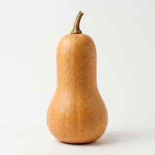 Squash, a flash card photograph for children