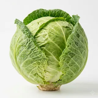 Cabbage, a flash card photograph for children