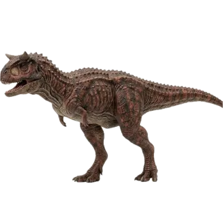 Carnotaurus, a flash card photograph for children