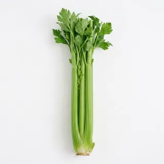 Celery, a flash card photograph for children