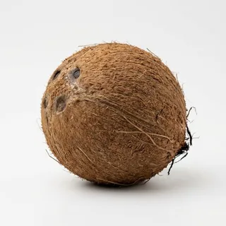 Coconut, a flash card photograph for children