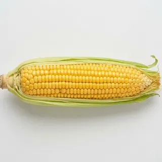 Corn, a flash card photograph for children