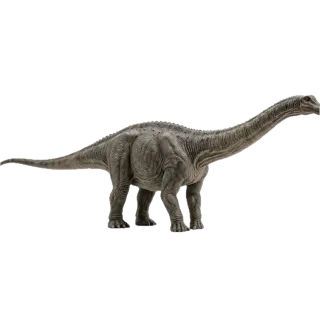 Diplodocus, a flash card photograph for children