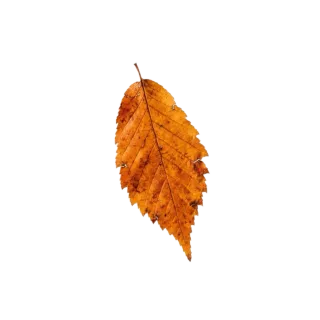 Down, a flash card photograph for children