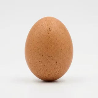 Egg, a flash card photograph for children