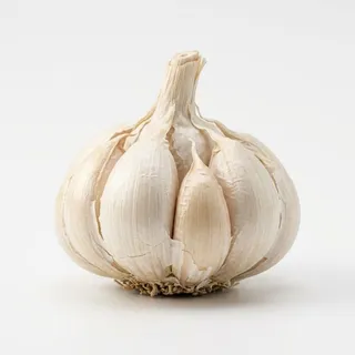 Garlic, a flash card photograph for children