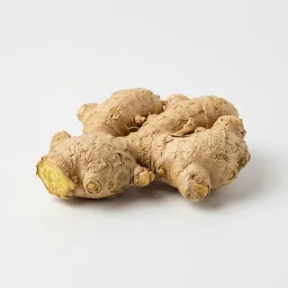 Ginger, a flash card photograph for children