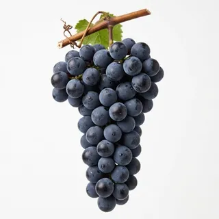 Grapes, a flash card photograph for children