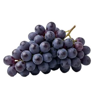 Grapes, a flash card photograph for children