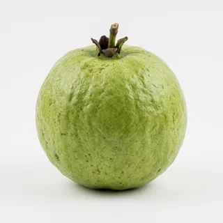 Guava, a flash card photograph for children