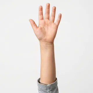 Arm, a flash card photograph for children