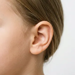 Ear, a flash card photograph for children