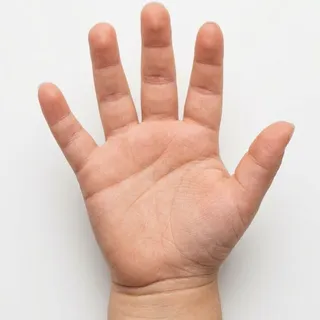Hand, a flash card photograph for children