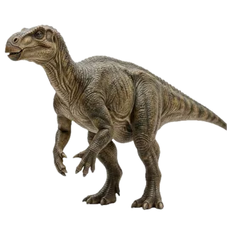 Iguanodon, a flash card photograph for children