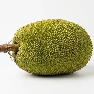 Jackfruit, a flash card photograph for children