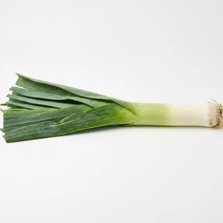 Leek, a flash card photograph for children