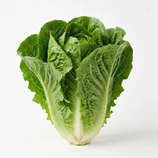 Lettuce, a flash card photograph for children