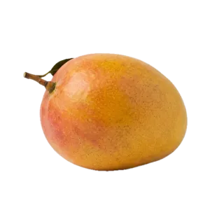 Mango, a flash card photograph for children