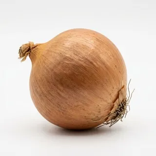Onion, a flash card photograph for children