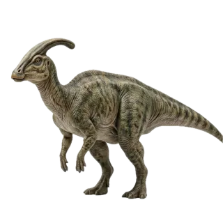 Parasaurolophus, a flash card photograph for children
