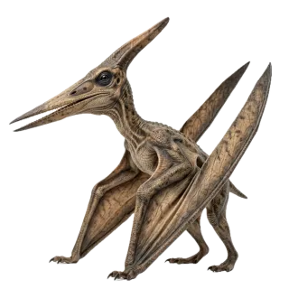 Pteranodon, a flash card photograph for children
