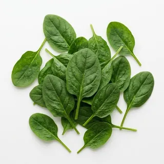 Spinach, a flash card photograph for children