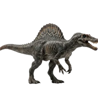 Spinosaurus, a flash card photograph for children