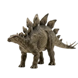 Stegosaurus, a flash card photograph for children