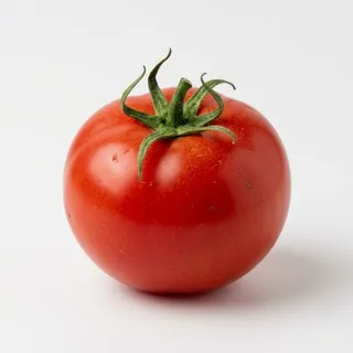 Tomato, a flash card photograph for children