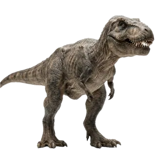 T. Rex, a flash card photograph for children