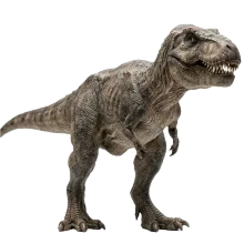 Dinosaur flash cards from Wibbo by Pulipe