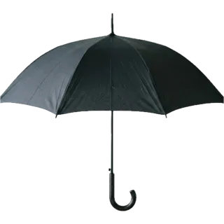 Umbrella, a flash card photograph for children