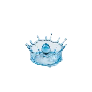 Wet, a flash card photograph for children