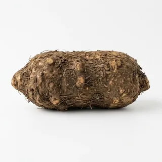 Yam, a flash card photograph for children