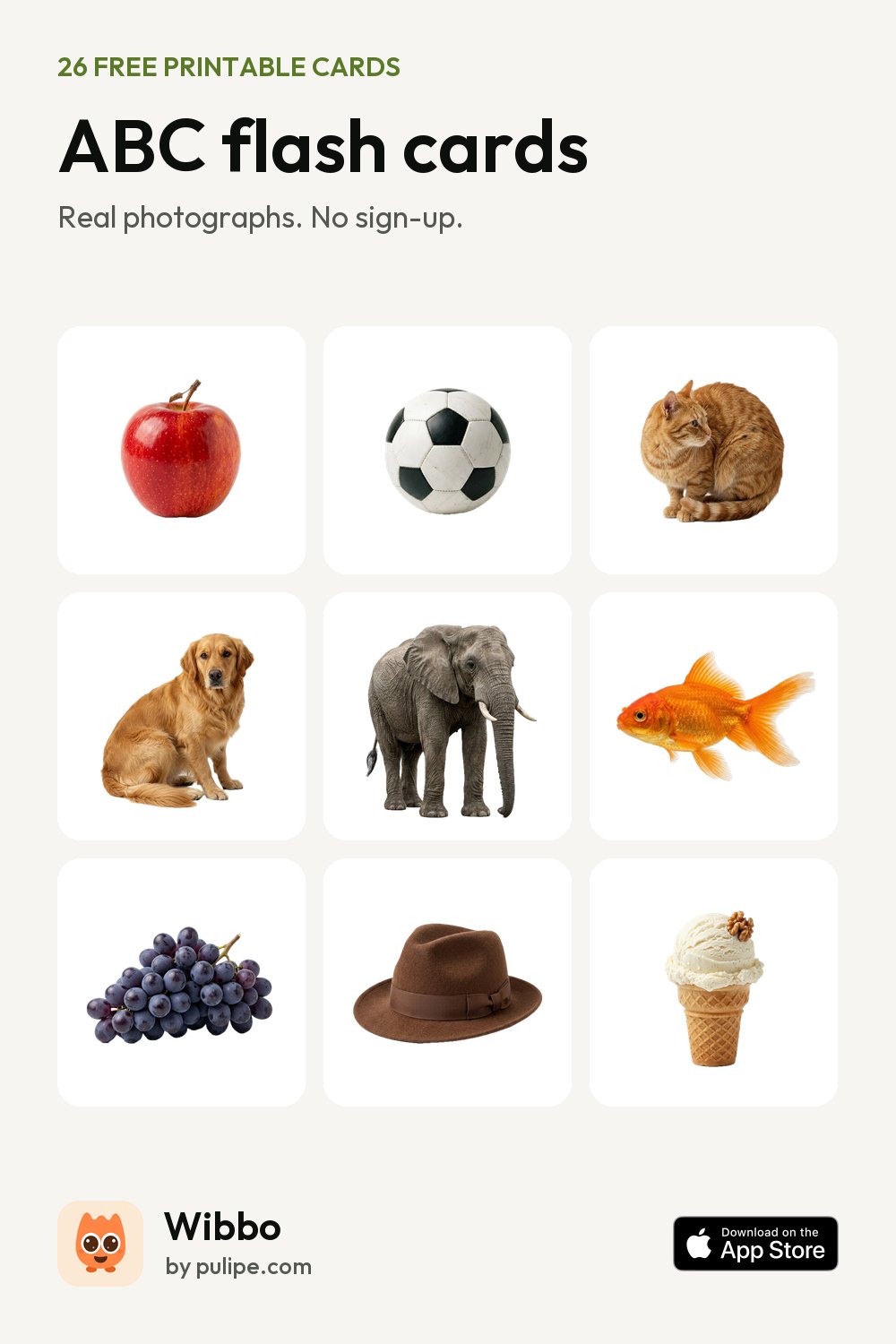 Alphabet flash cards from Wibbo: a printable sheet of 26 cards with real photographs