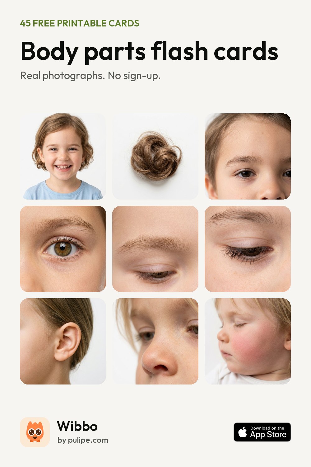 Body parts flash cards from Wibbo: a printable sheet of 45 cards with real photographs