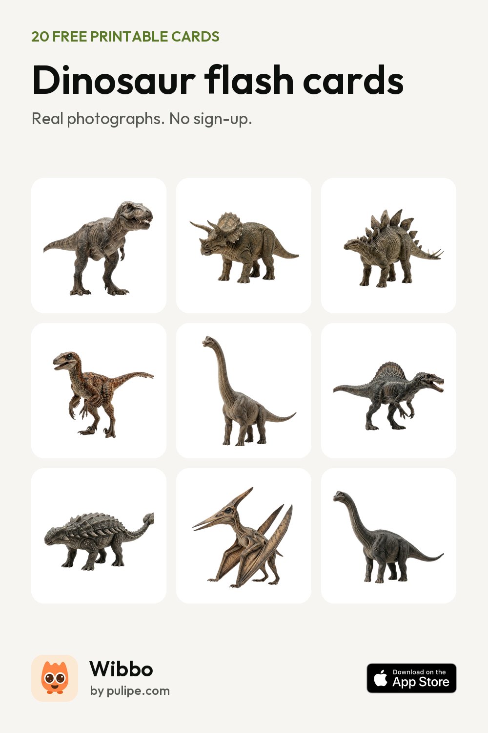 Dinosaur flash cards from Wibbo: a printable sheet of 20 cards with real photographs