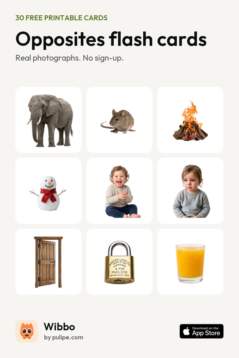 Opposites flash cards from Wibbo: a printable sheet of 30 cards with real photographs