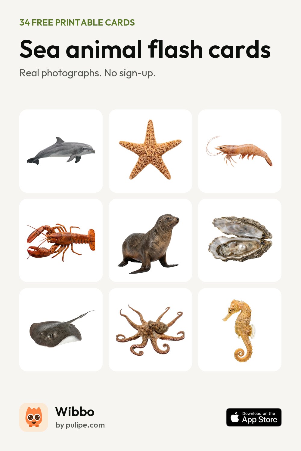 Sea animal flash cards from Wibbo: a printable sheet of 34 cards with real photographs